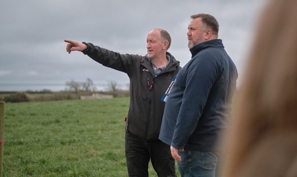 A man in a field pointing out something to another man